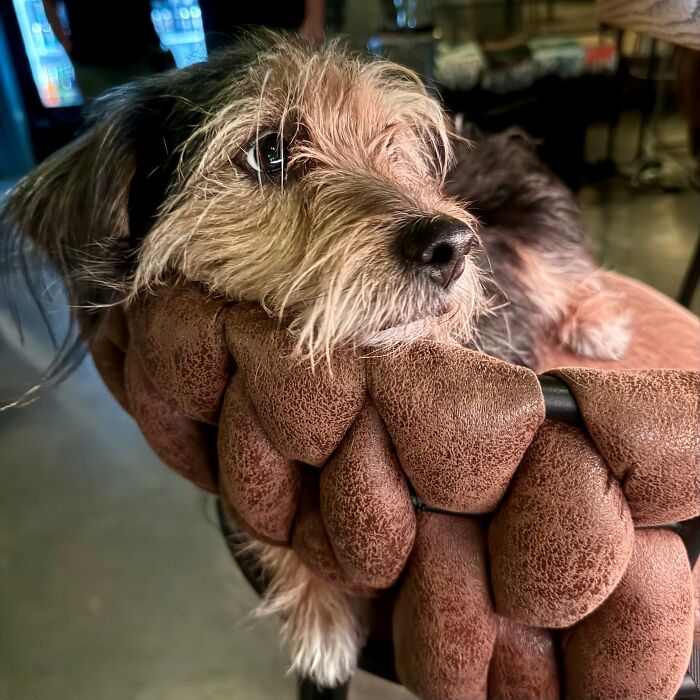 Little Miss Kasi: Brewery’s Queen Bee