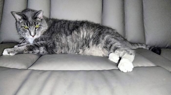 Whisky, 19 Years Young: Gone But Not Forgotten