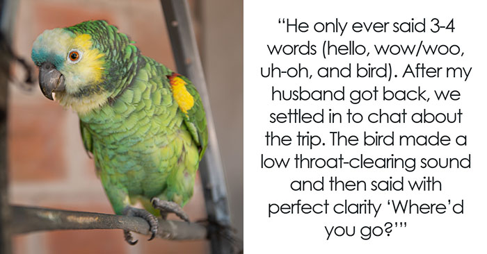 Pets Outsmarting Us? You Won’t Believe These Sneaky Pet Moments!