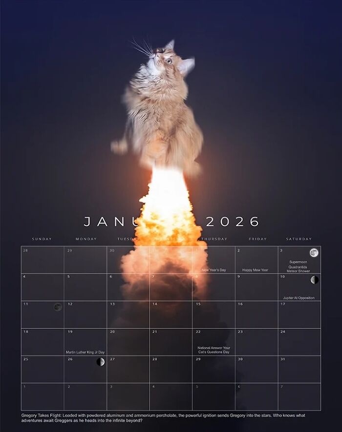 January - Space Cat Vibes
