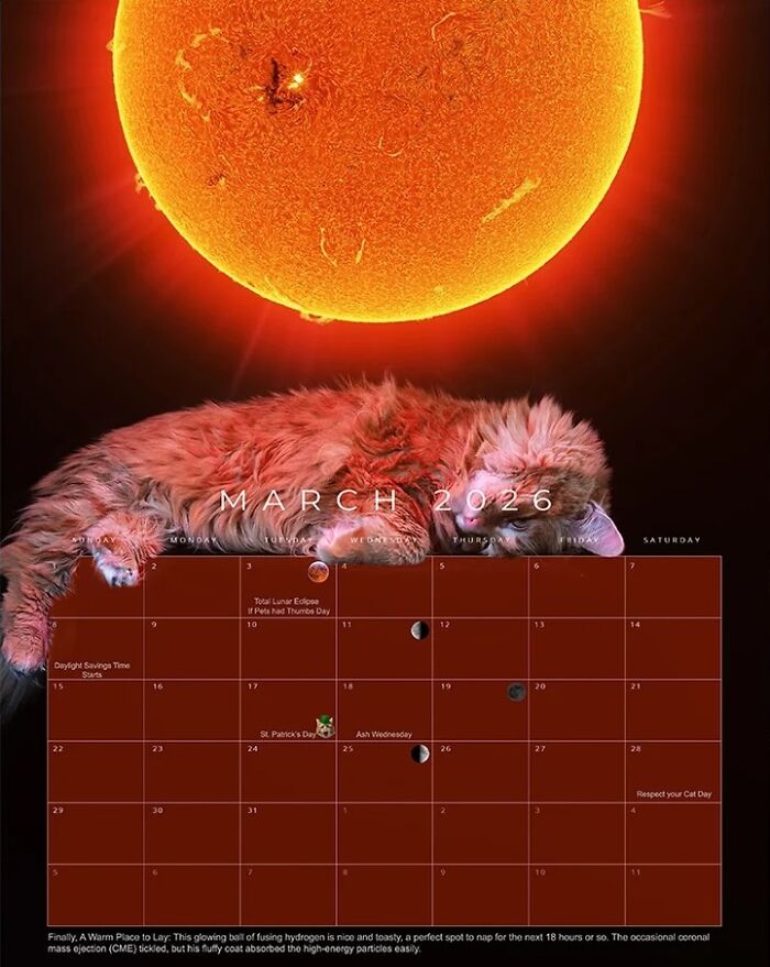 March - Cat In Space