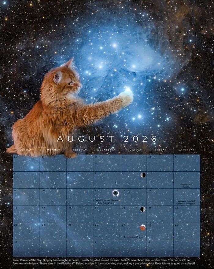 August - Galactic Daydreams