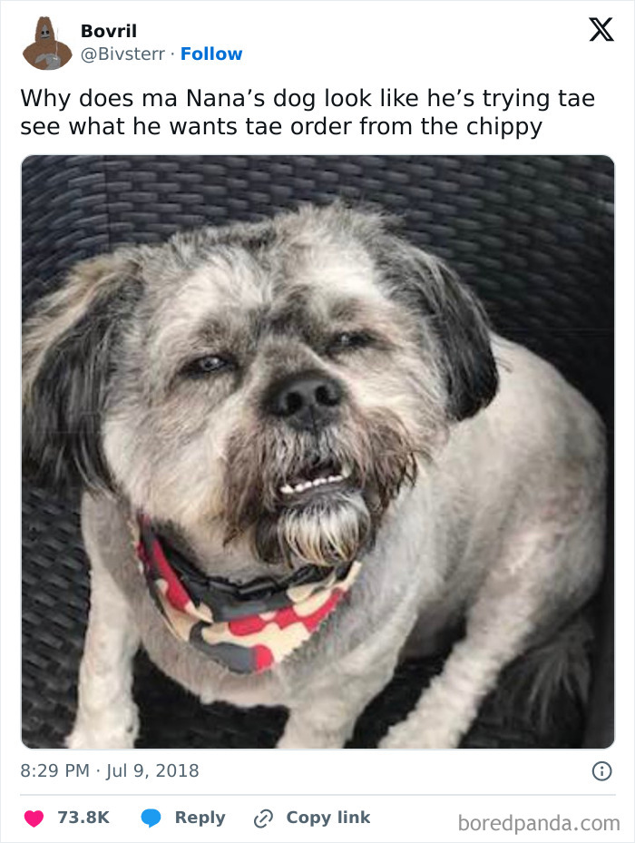 The Scot-tastic Tweets That’ll Crack You Up Every Time