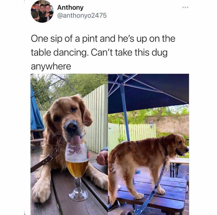 The Scot-tastic Tweets That’ll Crack You Up Every Time