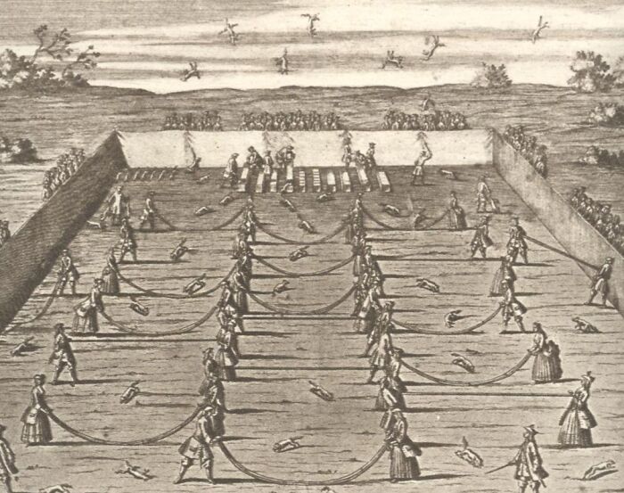 Wait, They Actually Played These Wild Ancient Sports?!