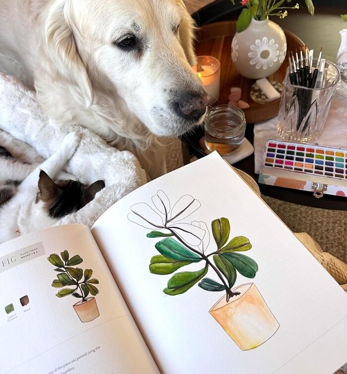 If Your Plants Keep Dying, Watercolor Your Own With This Beginner Botanical Workbook