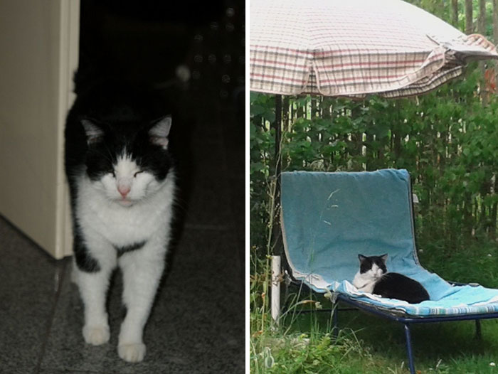 Schnuppi: From Backyard Rescue to Forever Favorite (Spoiler: We Miss Him!)