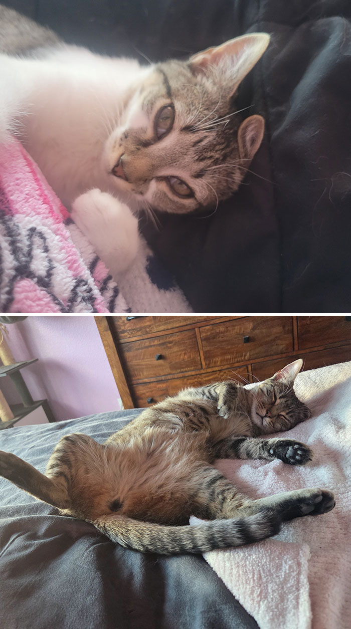Bella: First Day Home vs. Three Days Ago — Still a Total Sweetheart