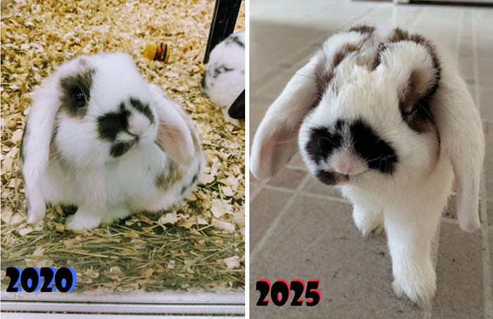 Hector Brunhilda: Look at That Glow-Up!