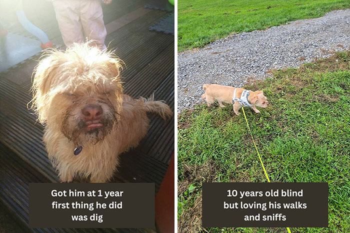 From 1 Year Old to 10: The Journey of a Stellar Sidekick