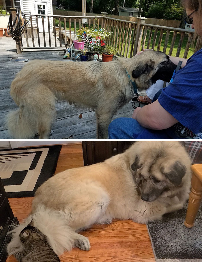 Ren: From Day One to Last Year, Still Rocking That Look