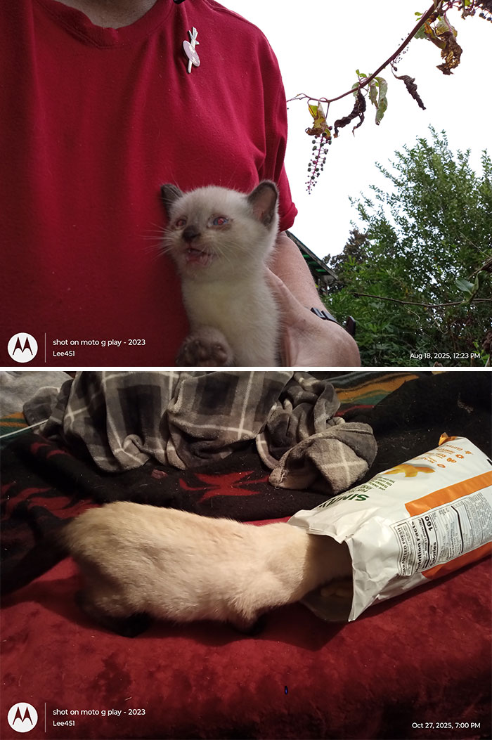 Little Willy: One Month Old to Three Months of Absolute Cuteness