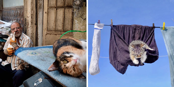 These Istanbul Street Shots Are Like Life’s Little Surprises Caught On Camera