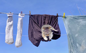 These Istanbul Street Shots Are Like Life’s Little Surprises Caught On Camera