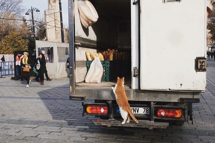 These Istanbul Street Shots Are Like Life’s Little Surprises Caught On Camera