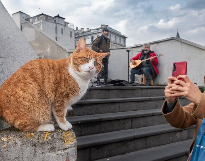 These Istanbul Street Shots Are Like Life’s Little Surprises Caught On Camera