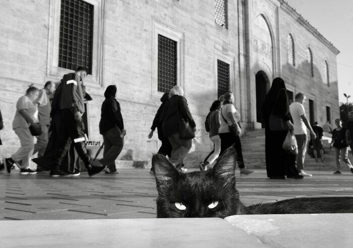 These Istanbul Street Shots Are Like Life’s Little Surprises Caught On Camera