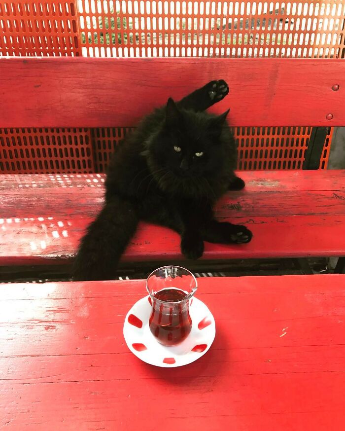 These Istanbul Street Shots Are Like Life’s Little Surprises Caught On Camera