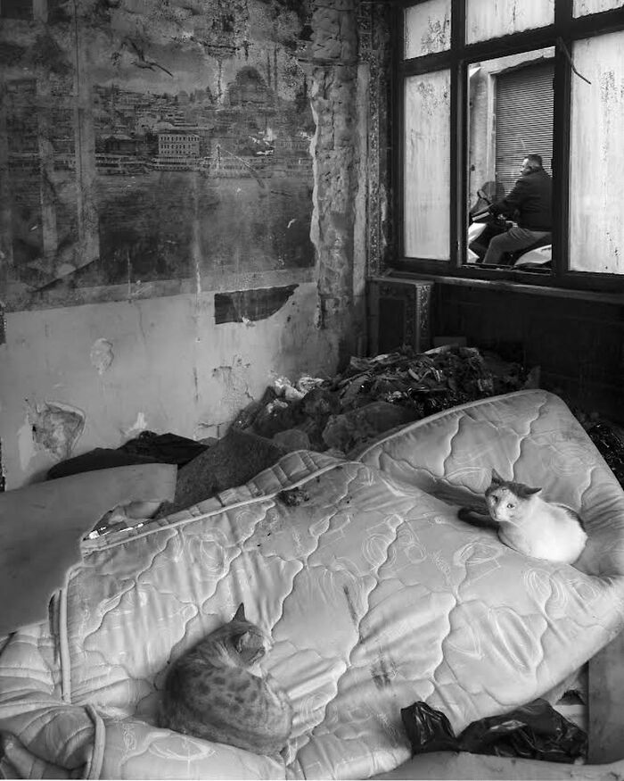 These Istanbul Street Shots Are Like Life’s Little Surprises Caught On Camera