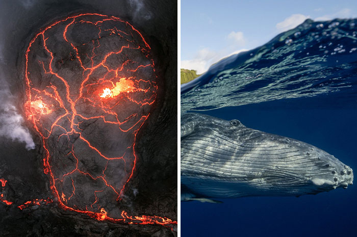 Whoa! These 2025 Panoramic Photos Are Mind-Blowing!