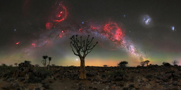 "Quiver Tree Under The Red Flame Of Orion" - Namibia’s Space Show
