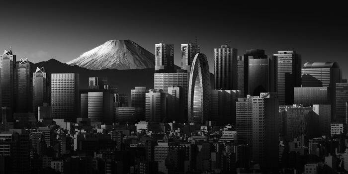 "Vertical City, Silent Peak" - Tokyo’s Juxtaposition