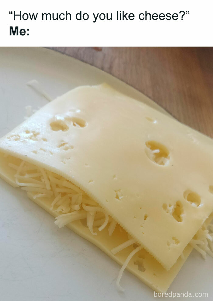 Wait, They Actually Ranked These Self-Deprecating Memes? Yeah, and They're Hilariously True!