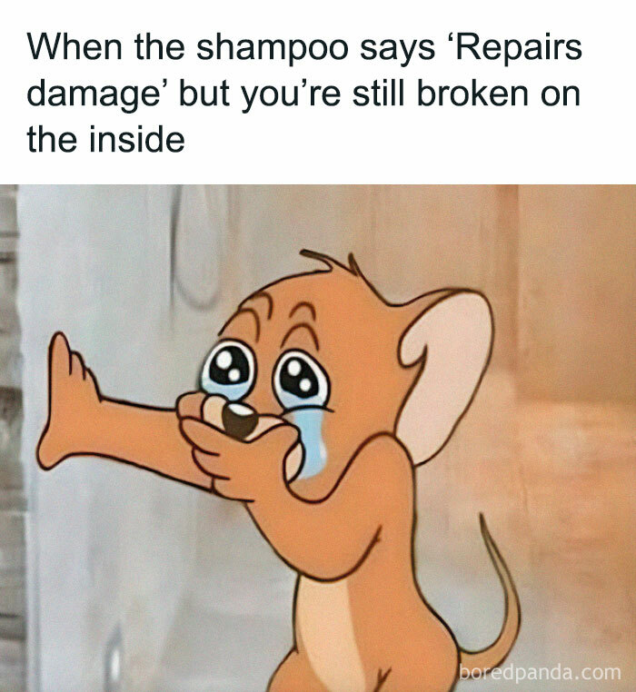 Wait, They Actually Ranked These Self-Deprecating Memes? Yeah, and They're Hilariously True!