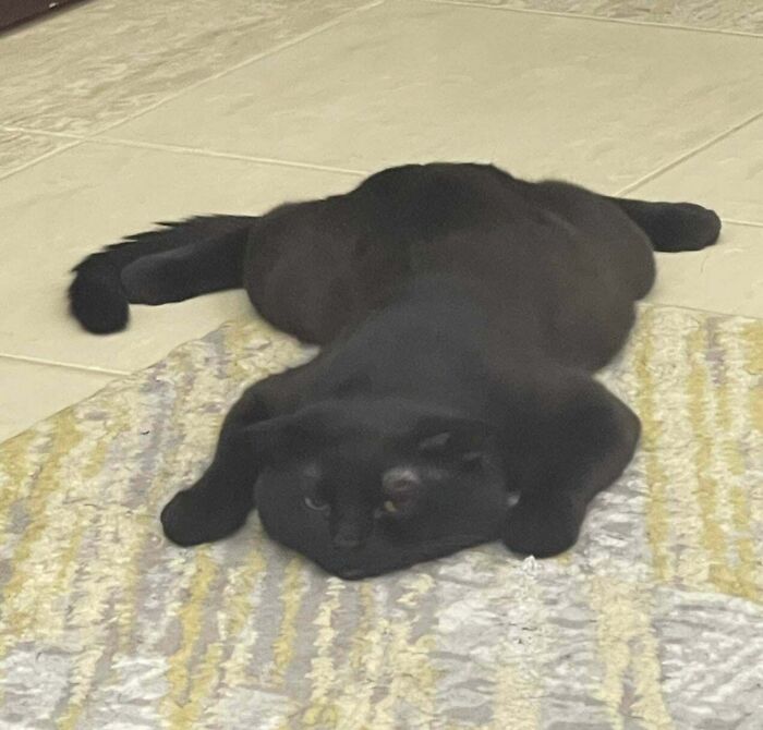 Honey Loves This Position, And We Can't Stop Staring