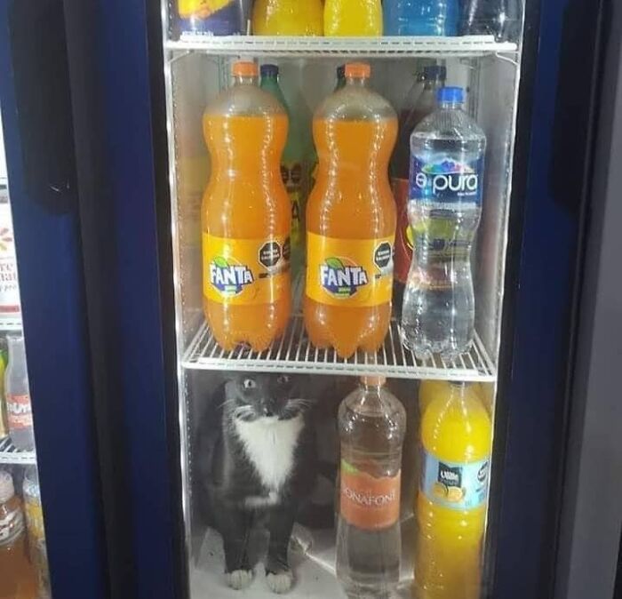 I’ll Take The One On The Bottom Left, Thanks!