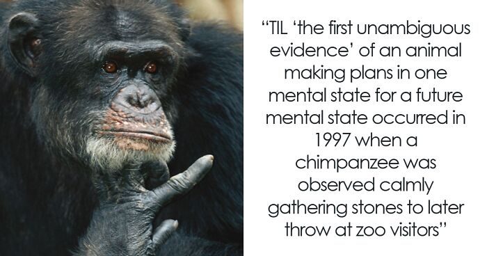 Wait, They Actually Ranked That?! Wild Facts You Didn’t Know Until Now