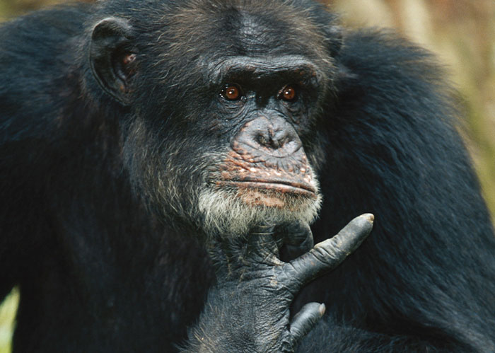 Wait, They Actually Ranked That?! Wild Facts You Didn’t Know Until Now