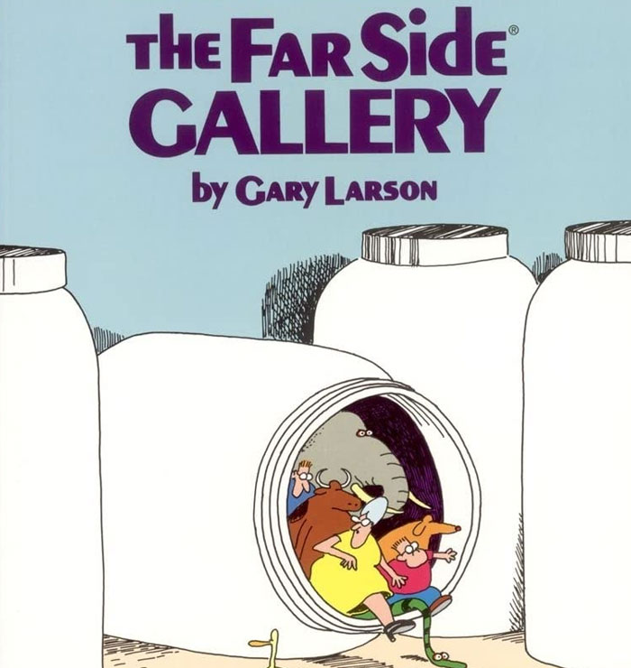 Wait, They Actually Ranked That?! Wild Facts You Didn’t Know Until Now