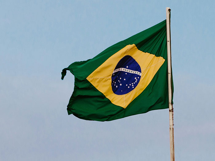 Wait, They Actually Ranked That?! Wild Facts You Didn’t Know Until Now