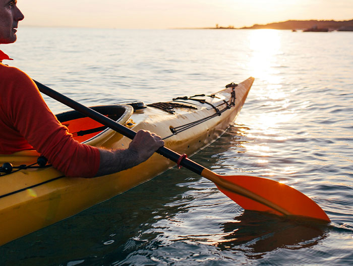 Wait, They Actually Ranked That?! Wild Facts You Didn’t Know Until Now