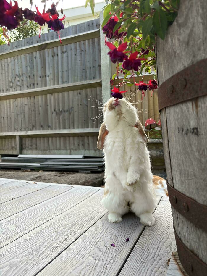 Meet My Little Gardener, Showing Off The Green Thumb