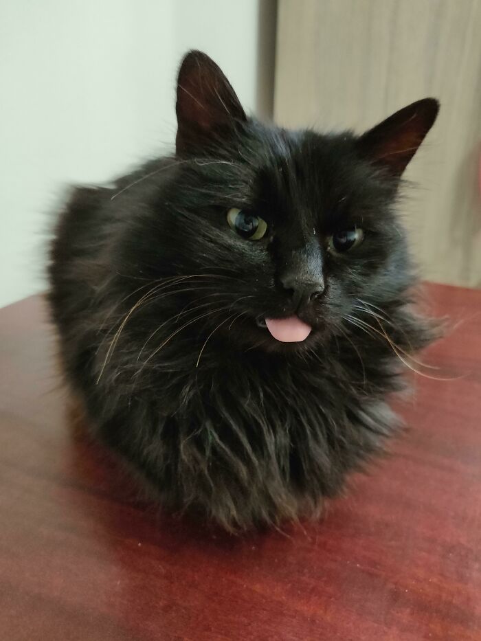 That Post-Sleep Blep Vibe Is Real