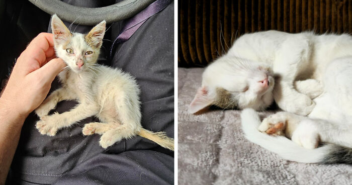 Glow-Up Alert: Look Who’s Fancy Now!