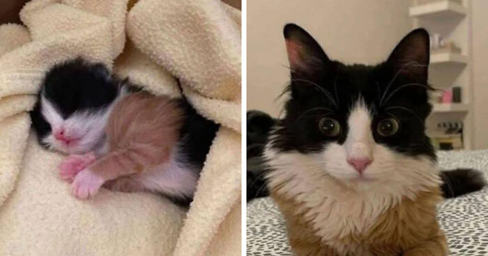 She Grew Up—Proof in the Paws!