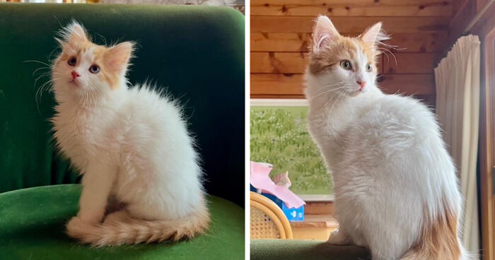 Phil's 8 Weeks to 5 Months Transformation