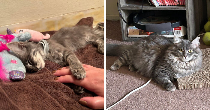 How Did She Get So Big? The Great Mystery!