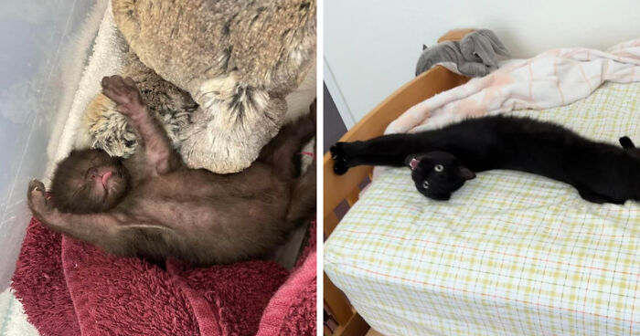 Three Years Later: Sleek and Sophisticated