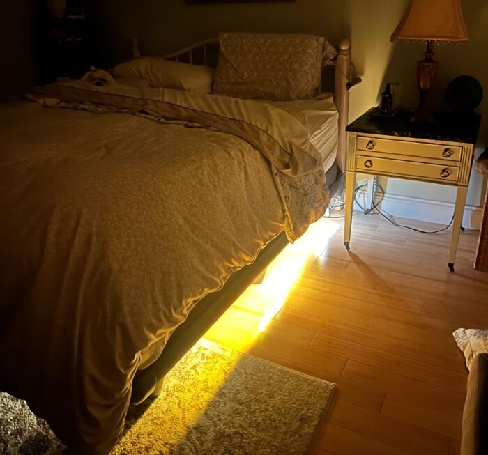 No More Stumbling Around In The Dark! Motion Activated Bed Light To The Rescue