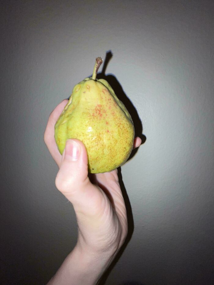 Wait, Is This a Pear or What?