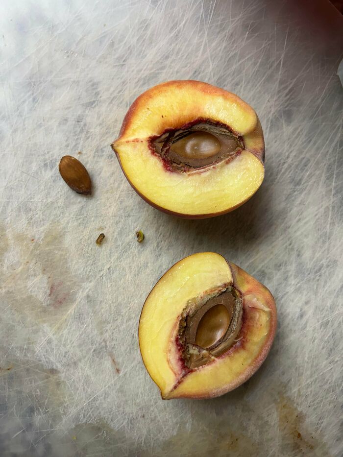 Cut Open Peach and Found an Almond Inside?! Nature’s Surprise
