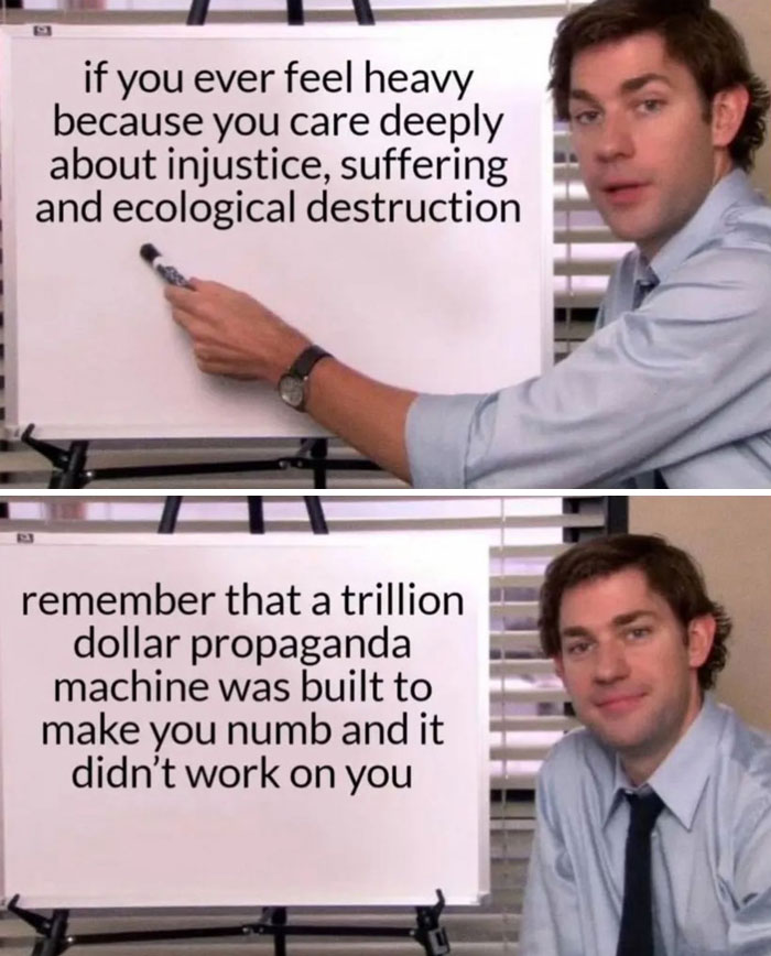 Whoa, Check Out These Pics That Totally Capture Our Wild Times