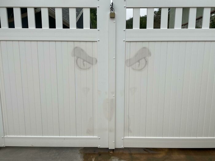 How Do I Get Rid Of Cheap Halloween Decoration Stains On My Fence?