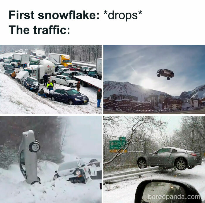 Wait, They Actually Ranked These Driving Memes? Yes, And It's Hilarious!