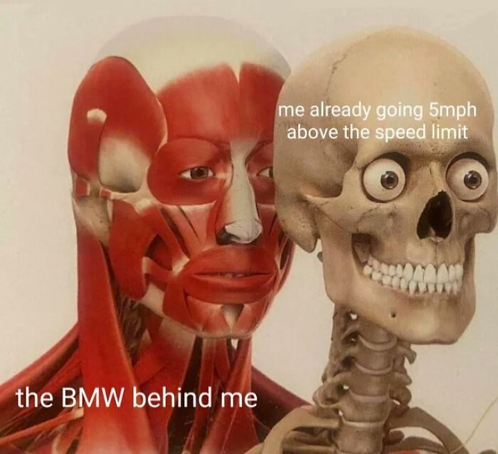 Wait, They Actually Ranked These Driving Memes? Yes, And It's Hilarious!