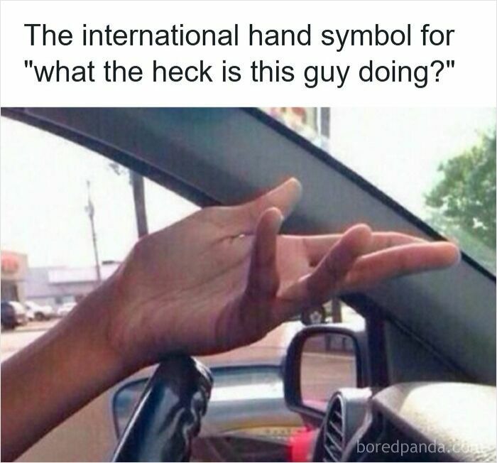 Wait, They Actually Ranked These Driving Memes? Yes, And It's Hilarious!